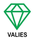 Values Icon